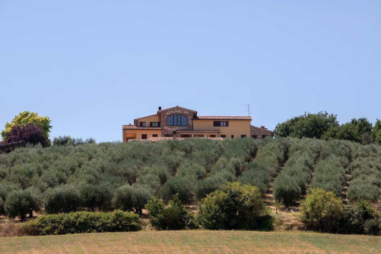 B&B La Casa Fra Gli Olivi 마르시아노 외부 사진